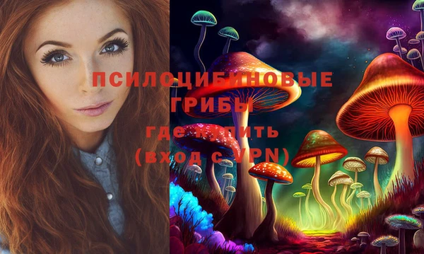 прущая мука Алзамай