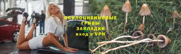 МДПВ Алексин