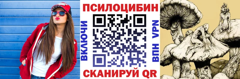 мега tor  Цимлянск  Псилоцибиновые грибы Psilocybe  купить  цена 